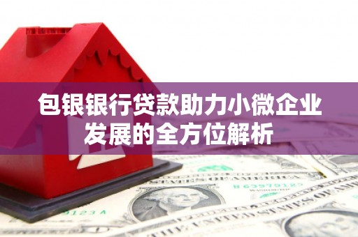 浦江包银银行贷款助力小微企业发展的全方位解析