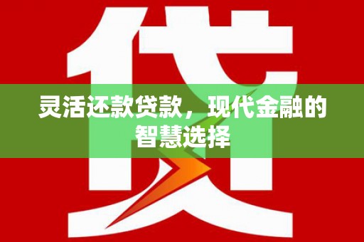 浦江灵活还款贷款，现代金融的智慧选择
