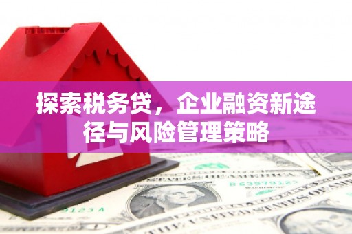 浦江探索税务贷，企业融资新途径与风险管理策略