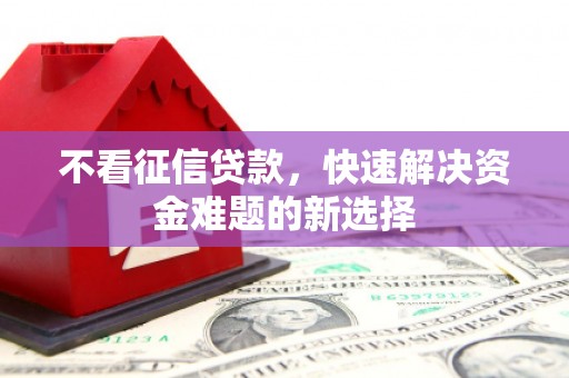 浦江不看征信贷款，快速解决资金难题的新选择