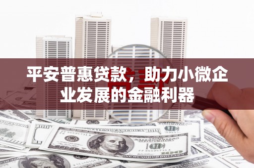 浦江平安普惠贷款，助力小微企业发展的金融利器