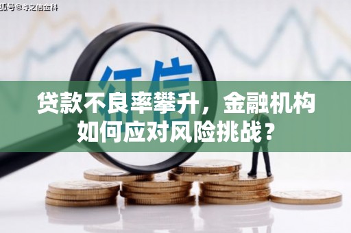 浦江贷款不良率攀升，金融机构如何应对风险挑战？