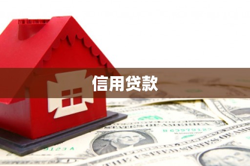 浦江信用贷款