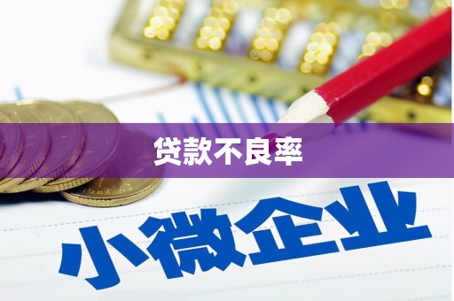 浦江贷款不良率