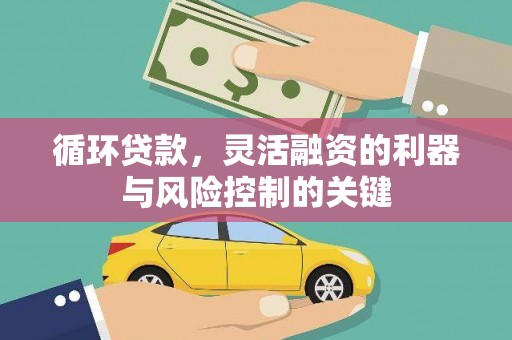 浦江循环贷款，灵活融资的利器与风险控制的关键