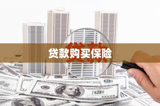 浦江贷款购买保险