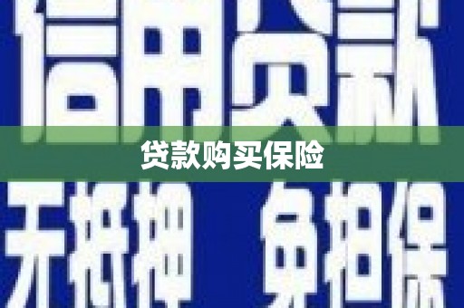 浦江贷款购买保险