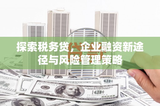 浦江探索税务贷，企业融资新途径与风险管理策略
