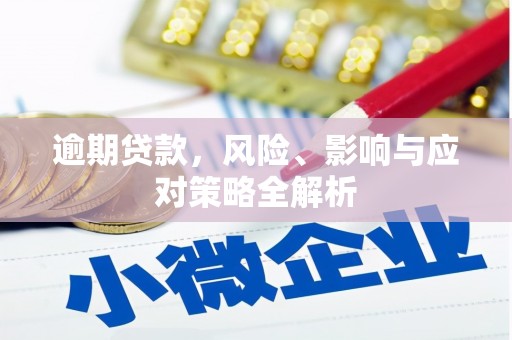 浦江逾期贷款，风险、影响与应对策略全解析