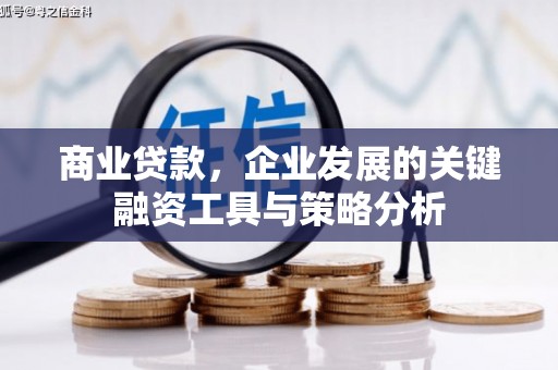 浦江商业贷款，企业发展的关键融资工具与策略分析