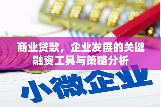 浦江商业贷款，企业发展的关键融资工具与策略分析
