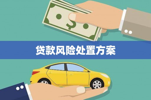 浦江贷款风险处置方案