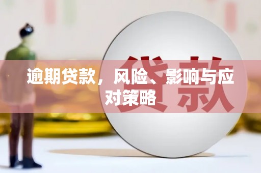 浦江逾期贷款，风险、影响与应对策略