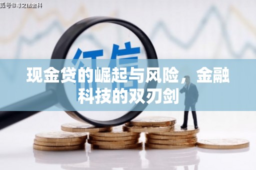 浦江现金贷的崛起与风险，金融科技的双刃剑