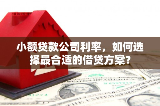 浦江小额贷款公司利率，如何选择最合适的借贷方案？