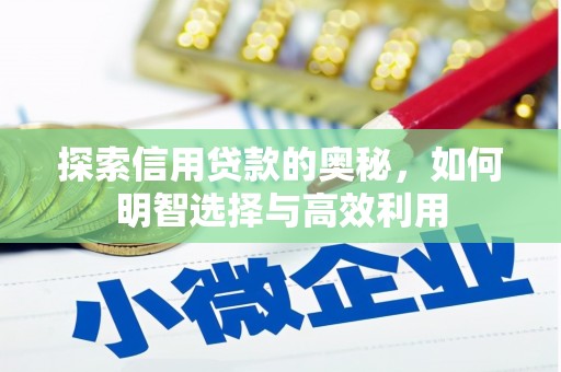 浦江探索信用贷款的奥秘，如何明智选择与高效利用