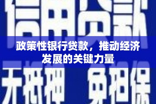 浦江政策性银行贷款，推动经济发展的关键力量