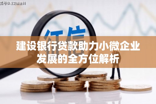 浦江建设银行贷款助力小微企业发展的全方位解析