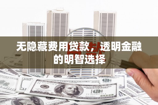 浦江无隐藏费用贷款，透明金融的明智选择