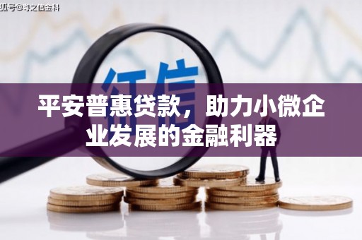 浦江平安普惠贷款，助力小微企业发展的金融利器
