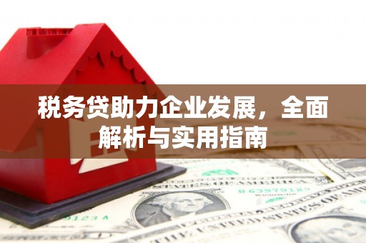 浦江税务贷助力企业发展，全面解析与实用指南
