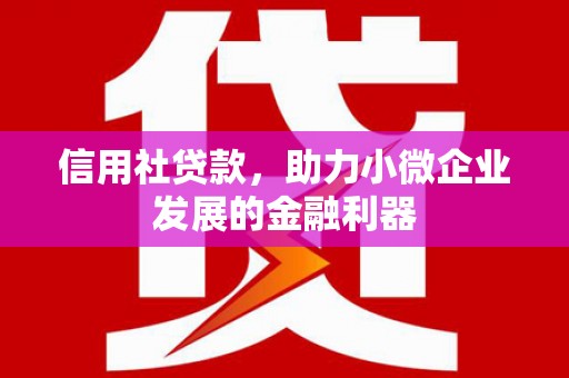 浦江信用社贷款，助力小微企业发展的金融利器
