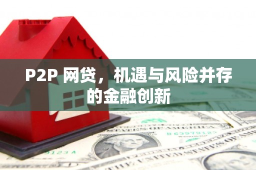 浦江P2P 网贷，机遇与风险并存的金融创新