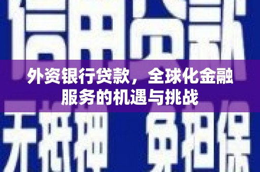 浦江外资银行贷款，全球化金融服务的机遇与挑战