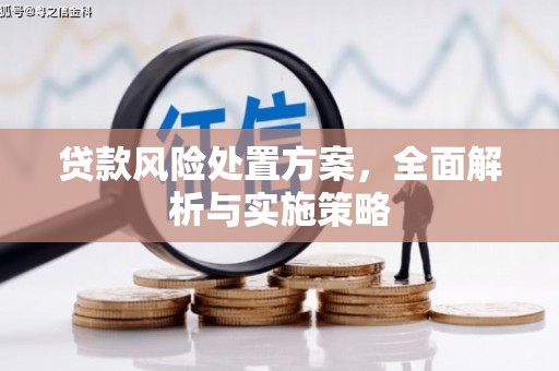 浦江贷款风险处置方案，全面解析与实施策略